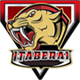 Itaberaí Futebol Clube